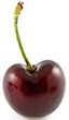 cerise