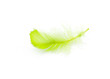 Feather