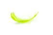 Feather