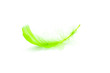 Feather
