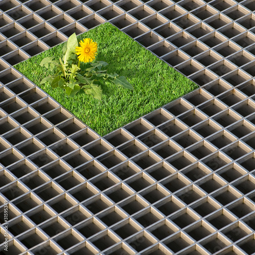 Photo: My home is my castle My home is my castle