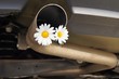 Auspuff & Blume