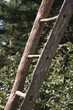Echelle en bois 1