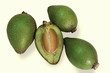 argan