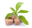 Stevia