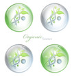 Organic Science glossy balls