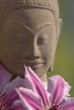 Méditation de Bouddha dans les clématites