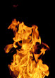 fire