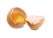 egg smashed