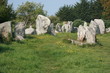 Alignements de menhirs de Kerzerho à Erdeven (Morbihan)