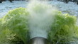 Video: leaking pipe leaking pipe