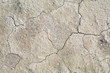 Dry land