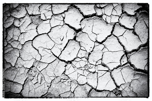Fototapeta The dried up cracked earth