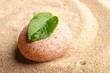 zen stone and leaf