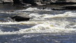 Whitewater wilderness raging river Whitewater wilderness raging river
