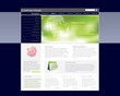 Conceptual Website template
