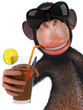 Singe et cocktail