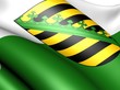 Flag of Saxony