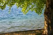 Bord du lac