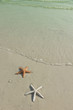 Couple of starfish on a tropical beach, tide coming in