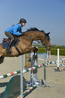 Springreiten