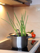 Foto: Vegatarian cooking, induction hob with pot Vegatarian cooking, induction hob with pot