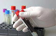 Scientist working at the laboratory