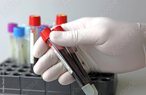Photo: Scientist working at the laboratory Scientist working at the laboratory