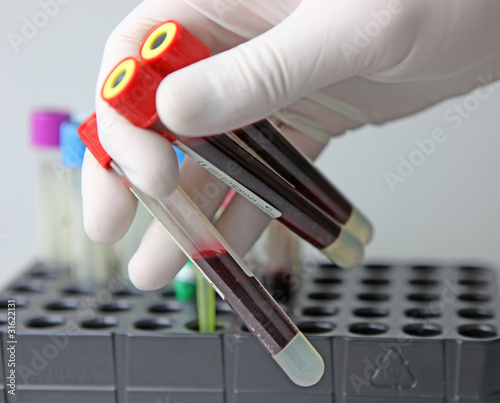 Photo: Scientist working at the laboratory Scientist working at the laboratory
