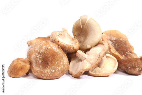 Photo: Shitake mushrooms Shitake mushrooms