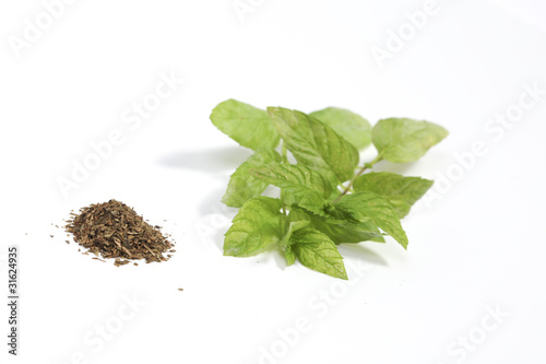 Photo: Mint Mint