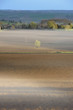 Paysage champetre