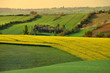 Paysage champetre