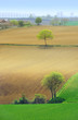 Paysage champêtre