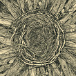 Shaped and unshaped wooden structures. Nest on parquet Shaped and unshaped wooden structures. Nest on parquet