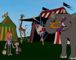 Unusual day at the Circus