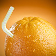 Fruit juice