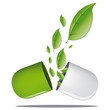 Pilule 11
