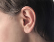 Ear