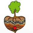 cuore d'albero