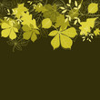 Autumn leaves background Autumn leaves background