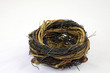 bird nest
