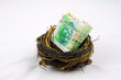 hongkong dollor in nest