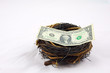us dollor had been protected by nest