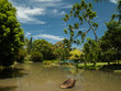Etangs et ciel dans le parc, Guadeloupe Etangs et ciel dans le parc, Guadeloupe