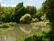 Etangs dans le parc, Guadeloupe Etangs dans le parc, Guadeloupe