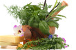 Herbal Therapy