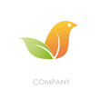 Logo bird on leaf # vector