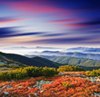 mountain landscape
