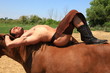 sur le cheval